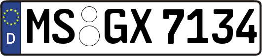 MS-GX7134