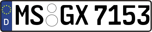 MS-GX7153