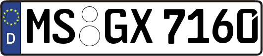 MS-GX7160