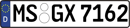 MS-GX7162