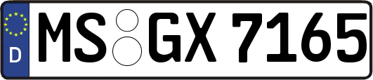 MS-GX7165
