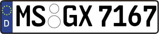 MS-GX7167