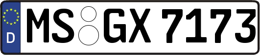 MS-GX7173