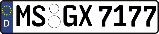 MS-GX7177