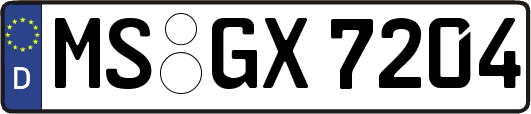 MS-GX7204