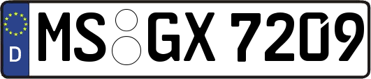MS-GX7209