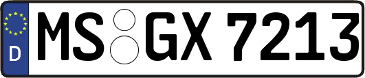 MS-GX7213