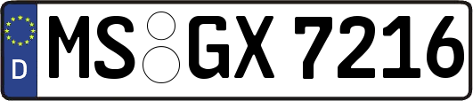 MS-GX7216