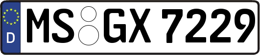MS-GX7229