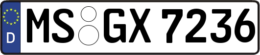 MS-GX7236