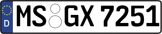 MS-GX7251