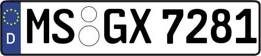 MS-GX7281