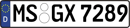 MS-GX7289