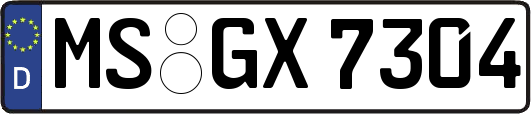 MS-GX7304