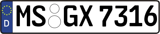 MS-GX7316