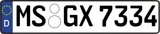 MS-GX7334