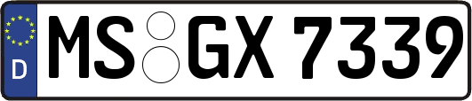 MS-GX7339