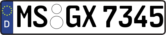 MS-GX7345