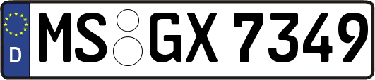 MS-GX7349