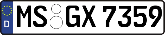 MS-GX7359