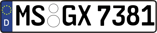 MS-GX7381