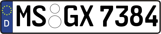 MS-GX7384