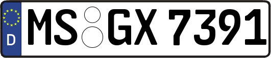 MS-GX7391