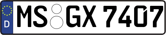 MS-GX7407