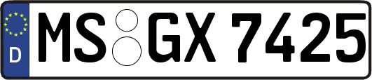 MS-GX7425