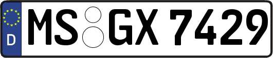 MS-GX7429