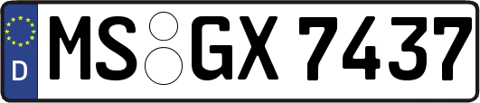 MS-GX7437