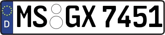 MS-GX7451
