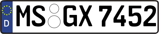 MS-GX7452