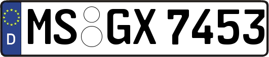 MS-GX7453