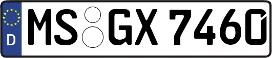 MS-GX7460