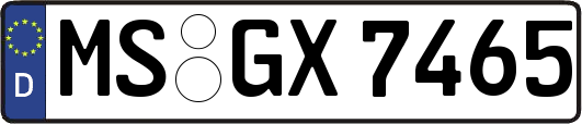 MS-GX7465