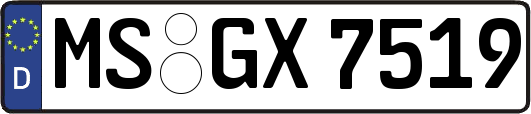 MS-GX7519