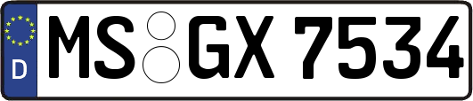 MS-GX7534