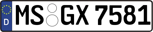 MS-GX7581