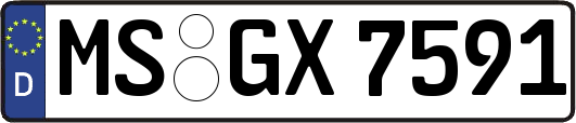 MS-GX7591