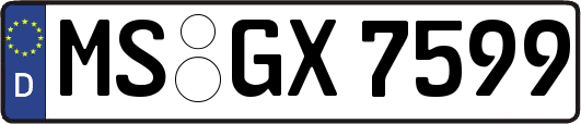 MS-GX7599