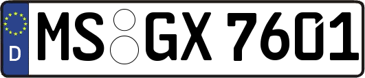 MS-GX7601