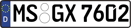 MS-GX7602