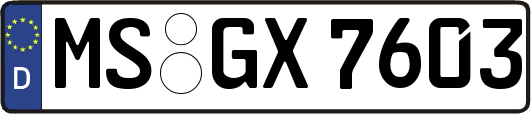 MS-GX7603