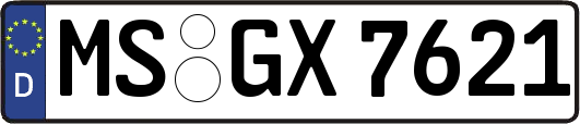 MS-GX7621