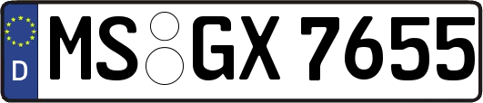 MS-GX7655