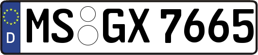 MS-GX7665