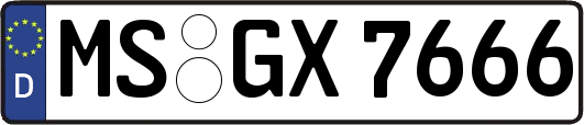 MS-GX7666