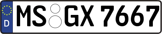 MS-GX7667