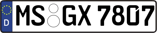 MS-GX7807